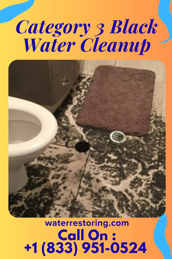 Category 3 Black Water Cleanup in Dubois, ID