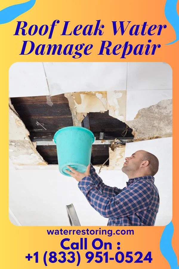Roof Leak Water Damage Repair in Dubois, ID