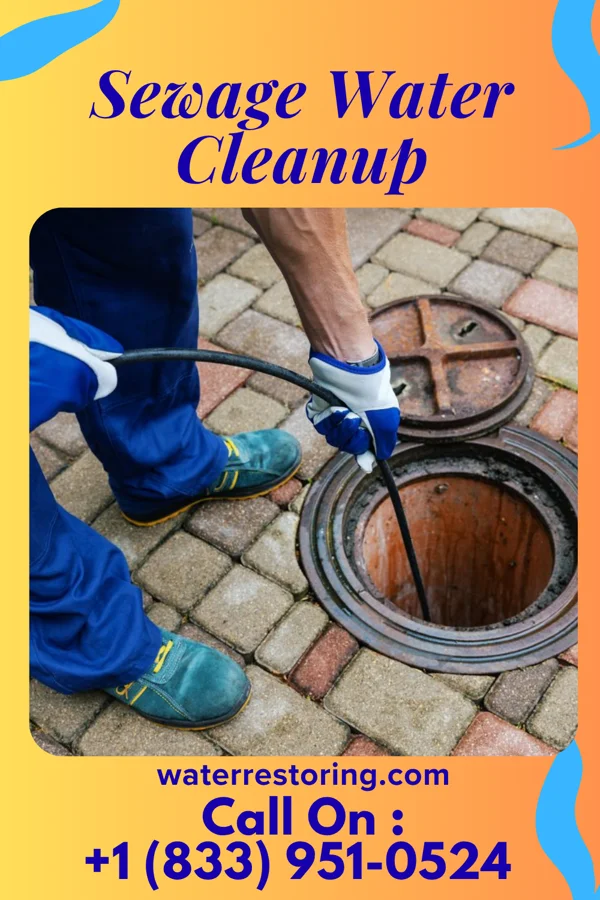 Sewage Water Cleanup in Dubois, ID